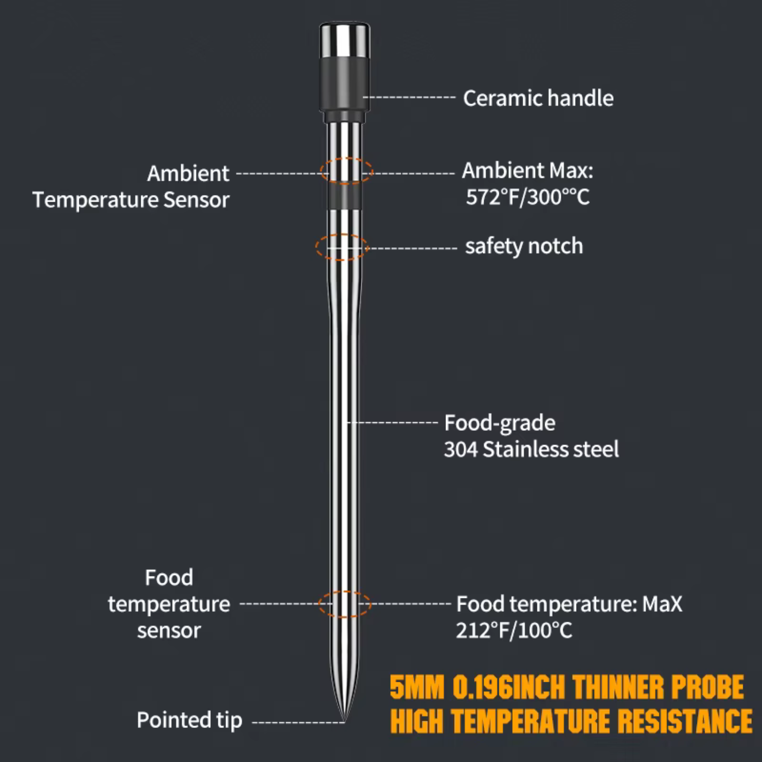 Earnly Precision: AI Culinary Probe